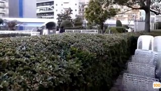 超骚伴娘宴席结束后陪男朋友释放欲望口活超好